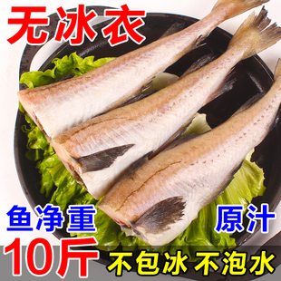 明太鱼新鲜冷冻无头鱼去头鳕鱼棒棒鱼深海狭鳕鱼10斤整条商用顺丰