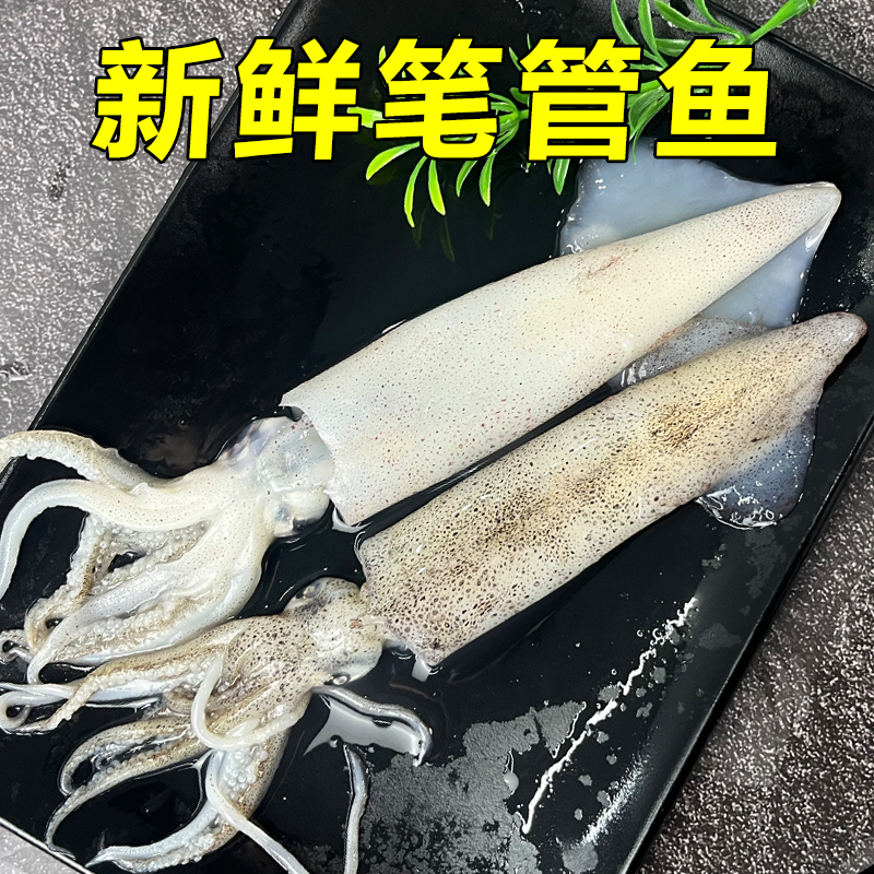 海兔新鲜冷冻笔管鱼小鱿鱼籽乌带籽烧烤火锅食材商用批发顺丰