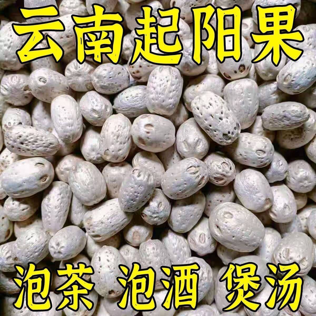 正品云南少民特产起阳果大果晒干煲汤泡酒正宗正阳果热卖真货好货图片