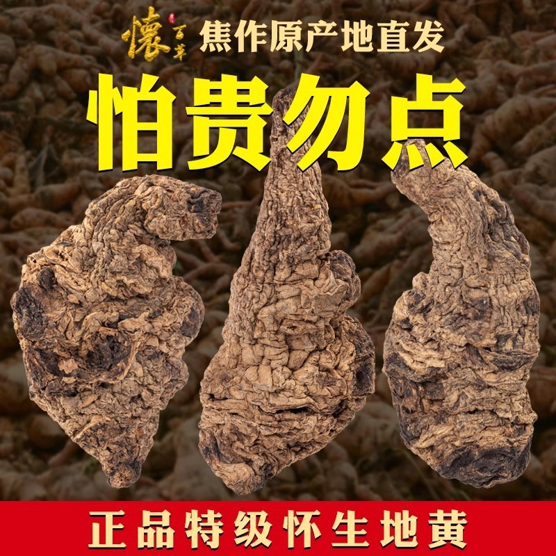 【真野生】水洗生地黄个无硫好货河南焦作怀地黄选片地髓有熟地黄