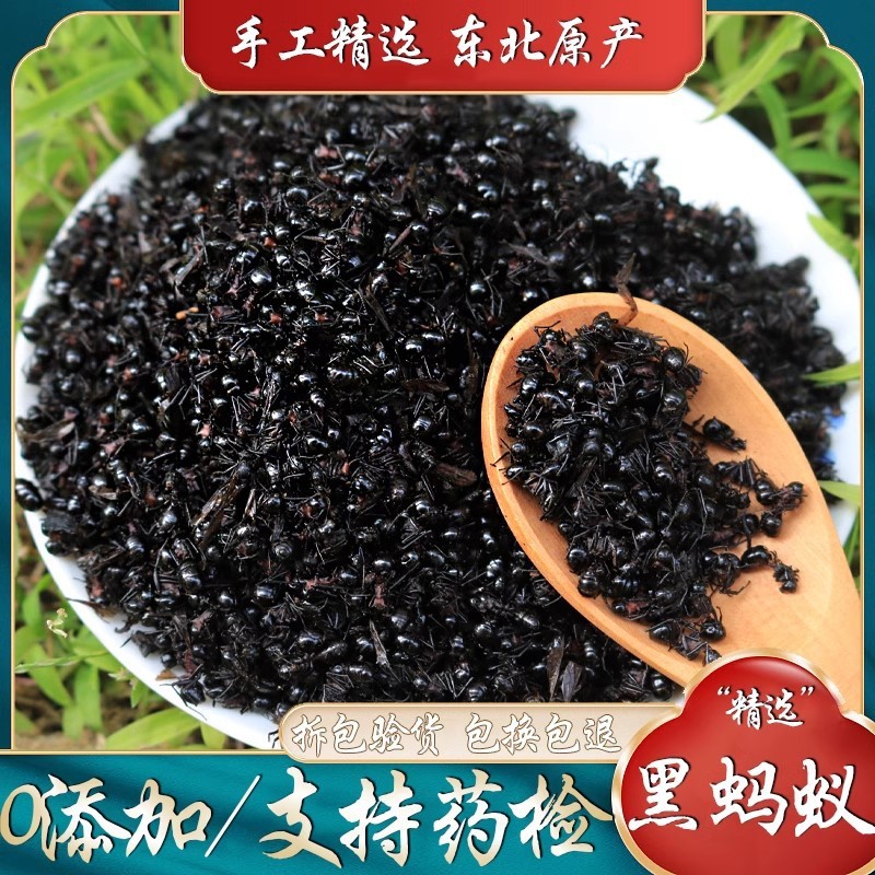 野生黑蚂蚁东北长白山拟黑多刺蚁材皮粉麻干晒养身泡酒料磨粉