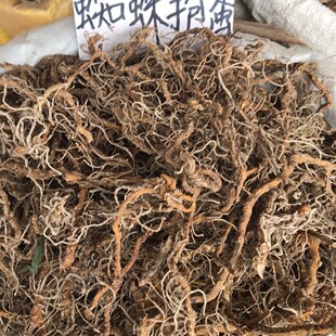 中草药材蜘蛛抱蛋热卖 正品 竹叶盘九龙盘 一叶兰 真货 蜘蛛抱蛋