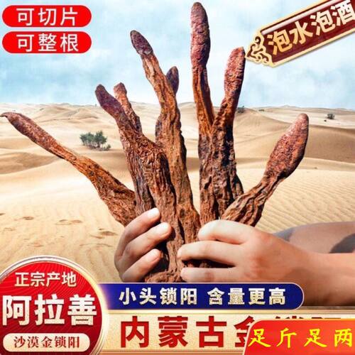锁阳片泡酒料锁阳配肉苁蓉淫羊藿玛咖韭菜籽风流果回春草顶天柱