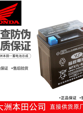 新大洲本田SDH150-25-27-28-29-30-31-32战龙战彪CBF150电瓶电池