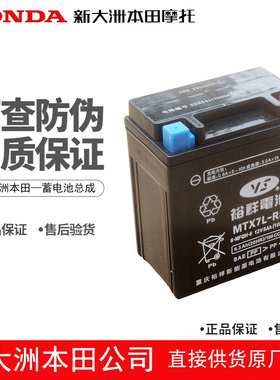 新大洲本田SDH125T-39-40-41-42裂刃小拉电瓶RXNS125LA蓄电池正品