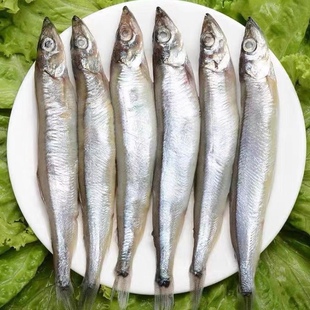 满籽多春鱼新鲜冷冻大号多春鱼加拿大柳叶鱼烧烤食材