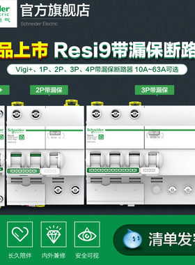 施耐德空气开关带漏电保护2P开关断路器家用63A电闸