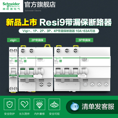 施耐德空气开关带漏电电闸2p
