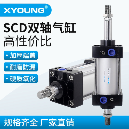 心扬XYOUNG双出标准气缸SCD