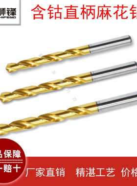 狮锋镀钛钻头4.8/4.81/4.82/4.83/4.84/4.85/4.86/4.87/4.88/4.89