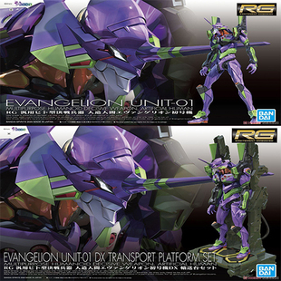 万代 RG EVA 初号机 通常版 DX豪华版 输送台版 福音战士拼装现货