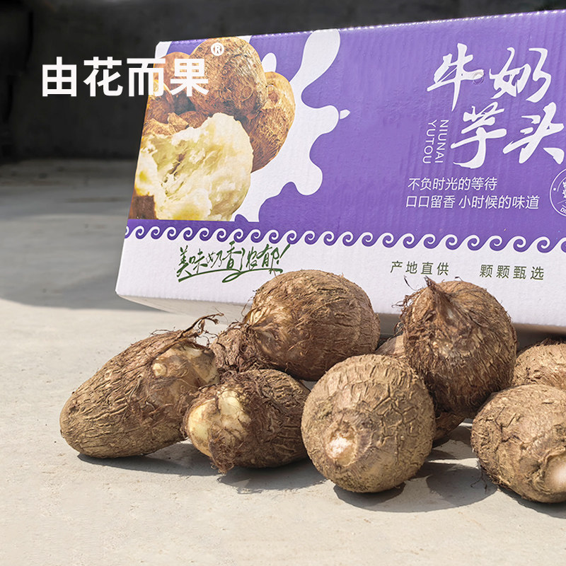 按超出口日韩标准挑选 毛芋头@由花而果 高品质芋艿 小红婶推荐