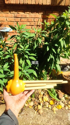 葫芦笙10年老店五管彝族周昆芦笙