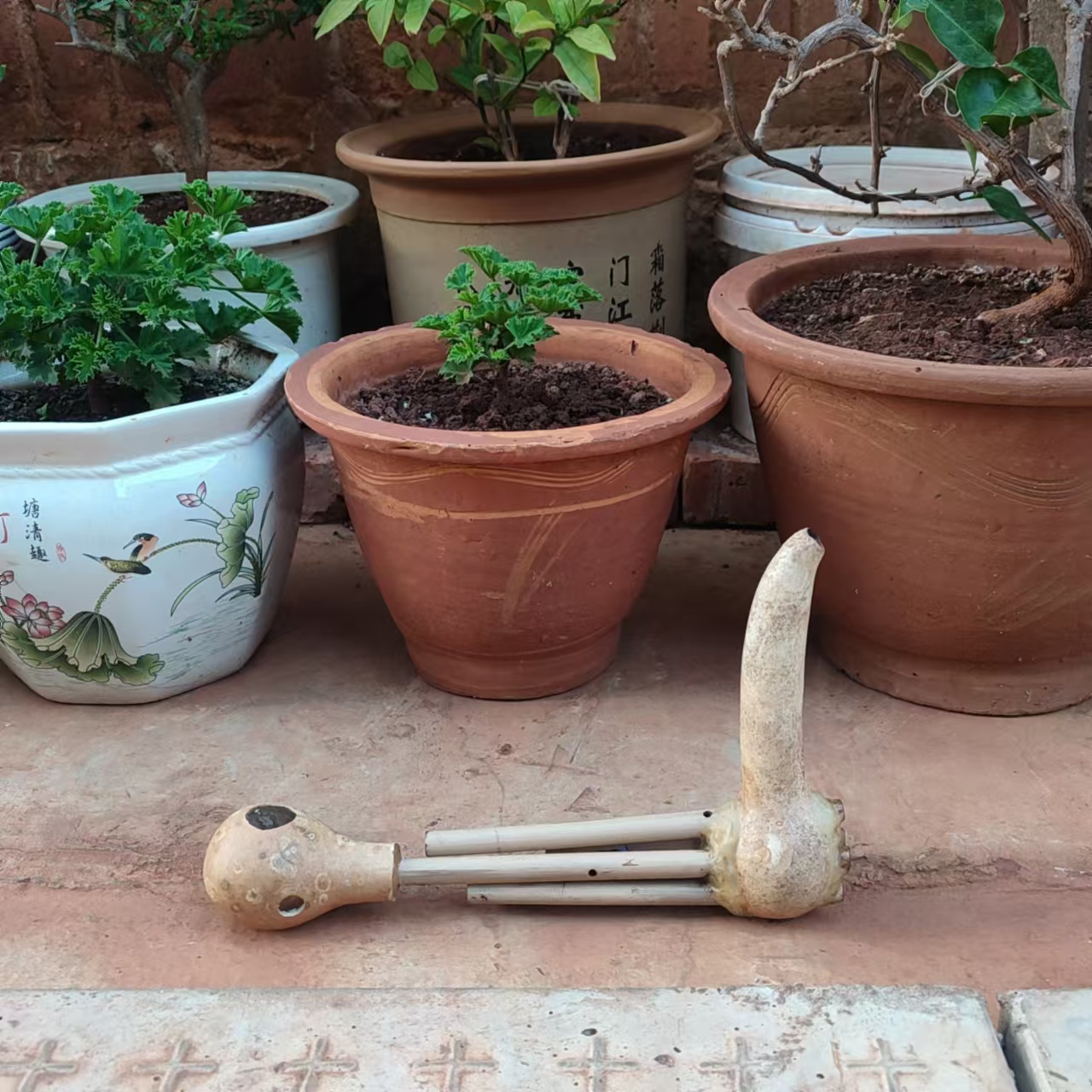 芦笙葫芦笙五管云南乐器