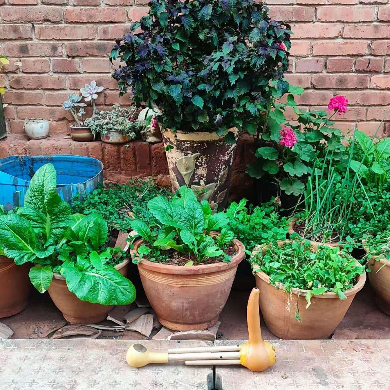 葫芦笙镇源县一尺景谷墨江五管