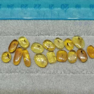 新货天然琥珀缅甸虫珀  GIC珠宝鉴定师学习有机宝石标本 史前微观