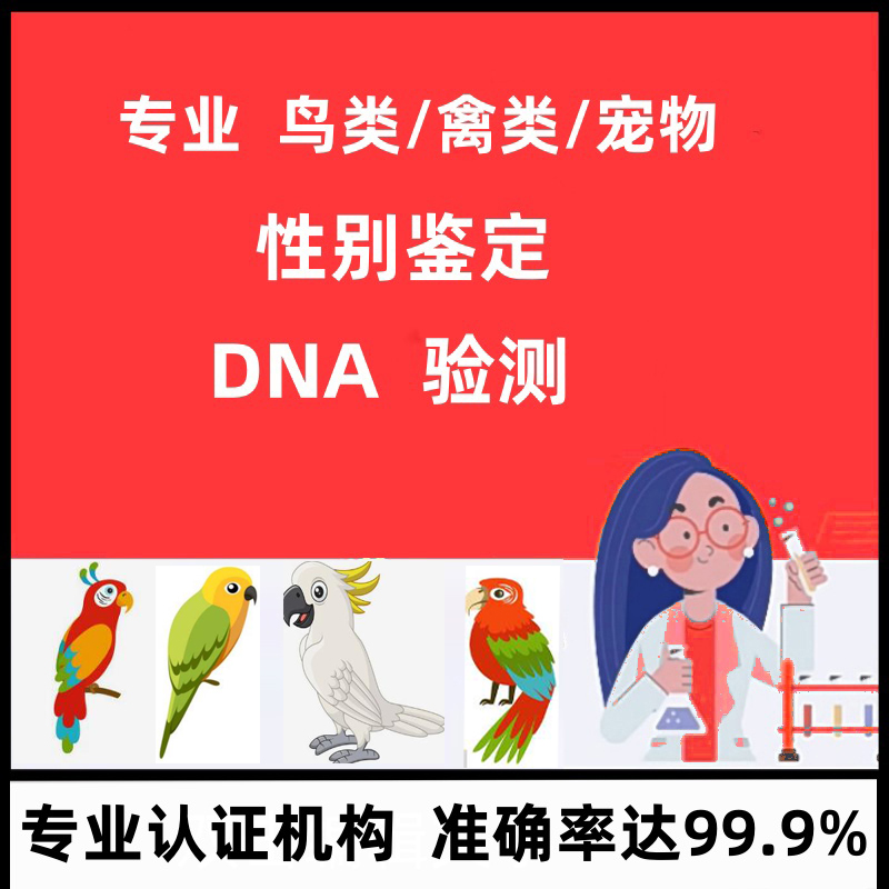 鸟禽DNA性别鉴定验卡玄凤牡丹虎皮大鹦鹉幼鸟活鸟检验检测分公母