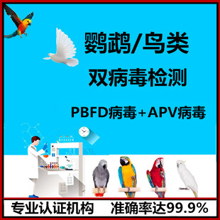 鹦鹉双病毒检测问诊 鹦鹉喙羽症PBFD多瘤病毒APV鉴定 DNA性别验卡