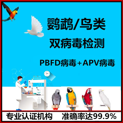 鹦鹉双病毒检测问诊 鹦鹉喙羽症PBFD多瘤病毒APV鉴定 DNA性别验卡