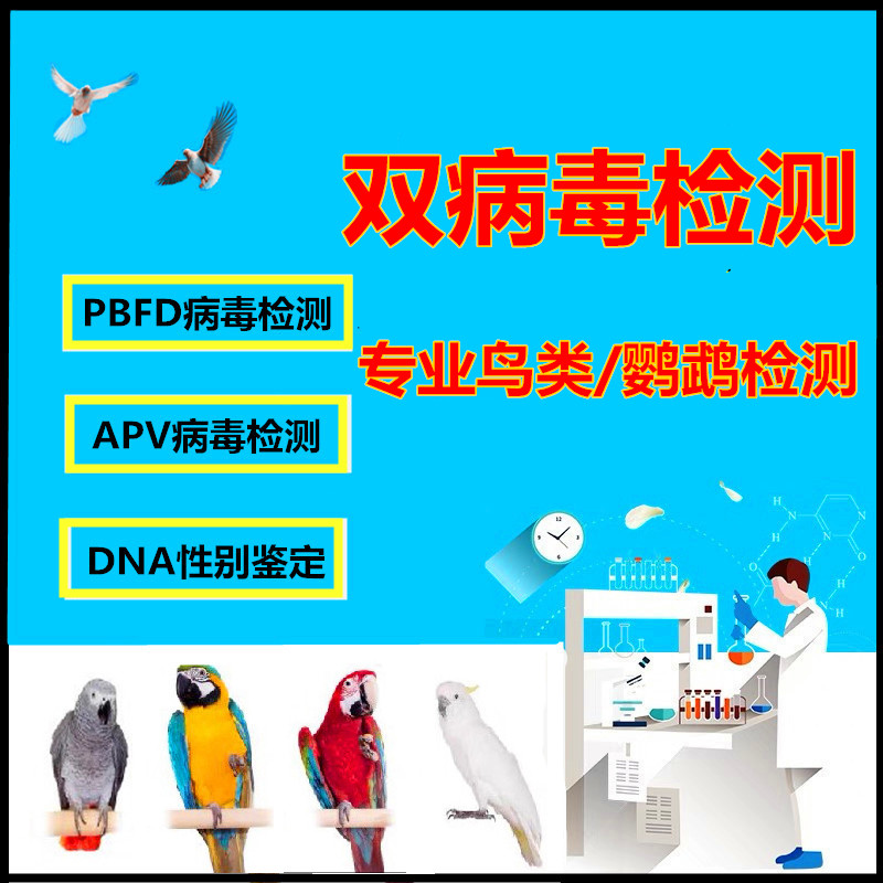 鹦鹉双病毒检测鉴定 鹦鹉PBFD APV病毒鉴定鸟类DNA性别三合一验卡