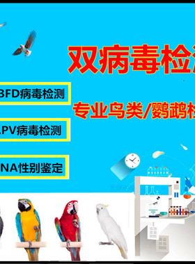鹦鹉双病毒检测鉴定 鹦鹉PBFD APV病毒鉴定鸟类DNA性别三合一验卡