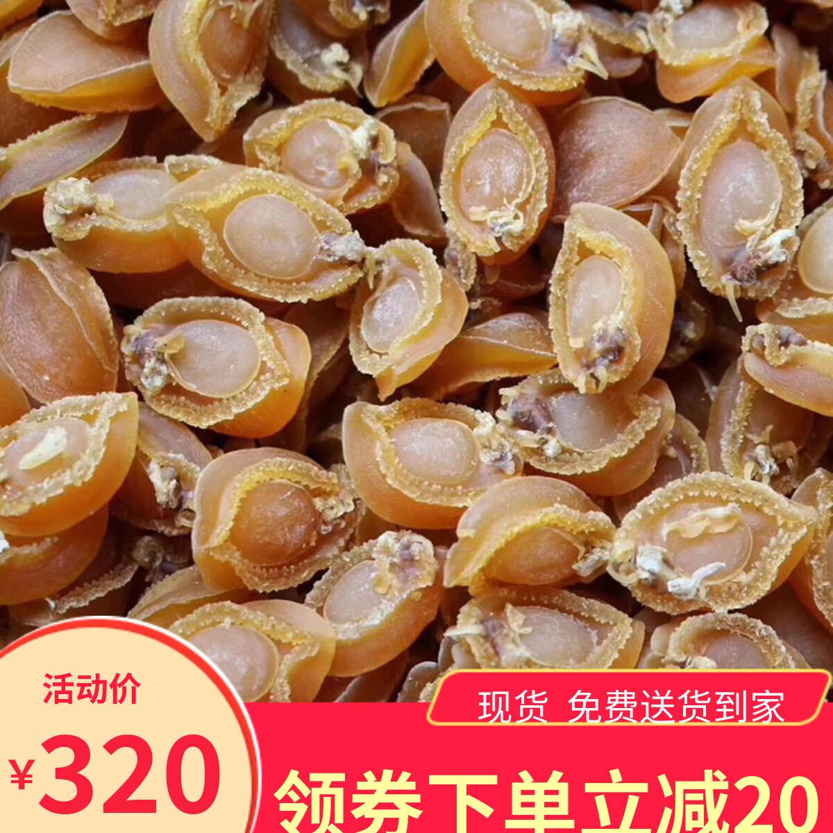 湛江本地鲍鱼干煲汤海鲜干货佛跳墙小鲍鱼仔500g约200头非即食