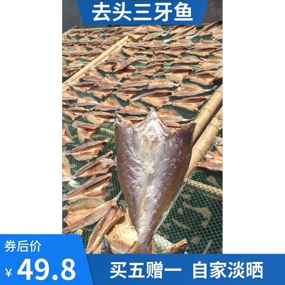 湛江特产自晒三牙鱼干切片渔鲜生淡晒500g三齿鱼广东咸鱼海鲜干货