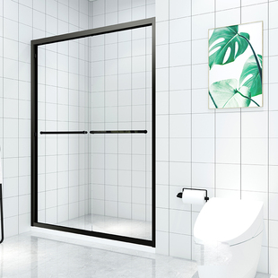 莱博顿定制淋浴房不锈钢移门浴室隔断一字形钢化玻璃门WPB6122