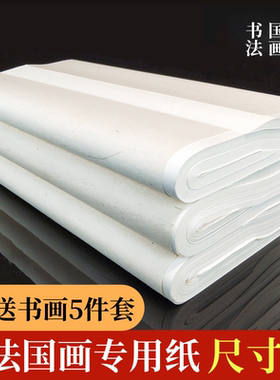 批发四尺全生纸半生半熟纸初学者毛笔字书法国画练习纸加厚创作