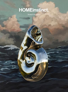 Homeinstinct.回家本能 鹦鹉螺车载香氛扩香器原创设计香薰礼盒