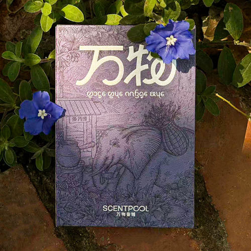 万物铺香线香香薰西双版纳灵气