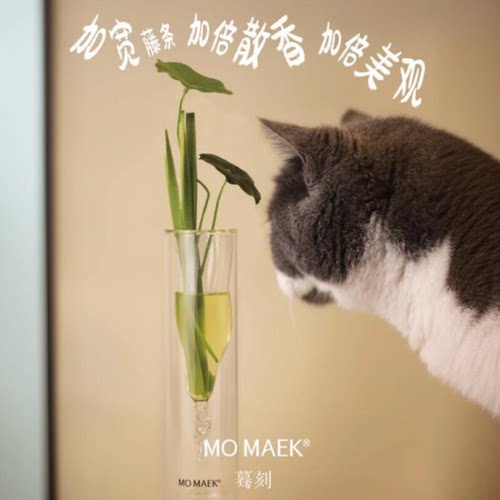MOMAEK蓦刻无火香薰礼盒宠物友好家居摆件清新苦瓜香持久扩香礼物