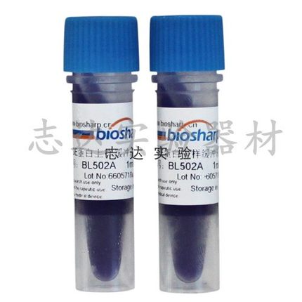 Biosharp BL502A SDS-PAGE蛋白上样缓冲液(5X) 2*1ml/组