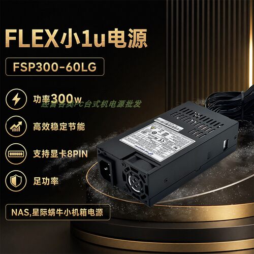 适用全汉小IU/星际蜗牛电源300W
