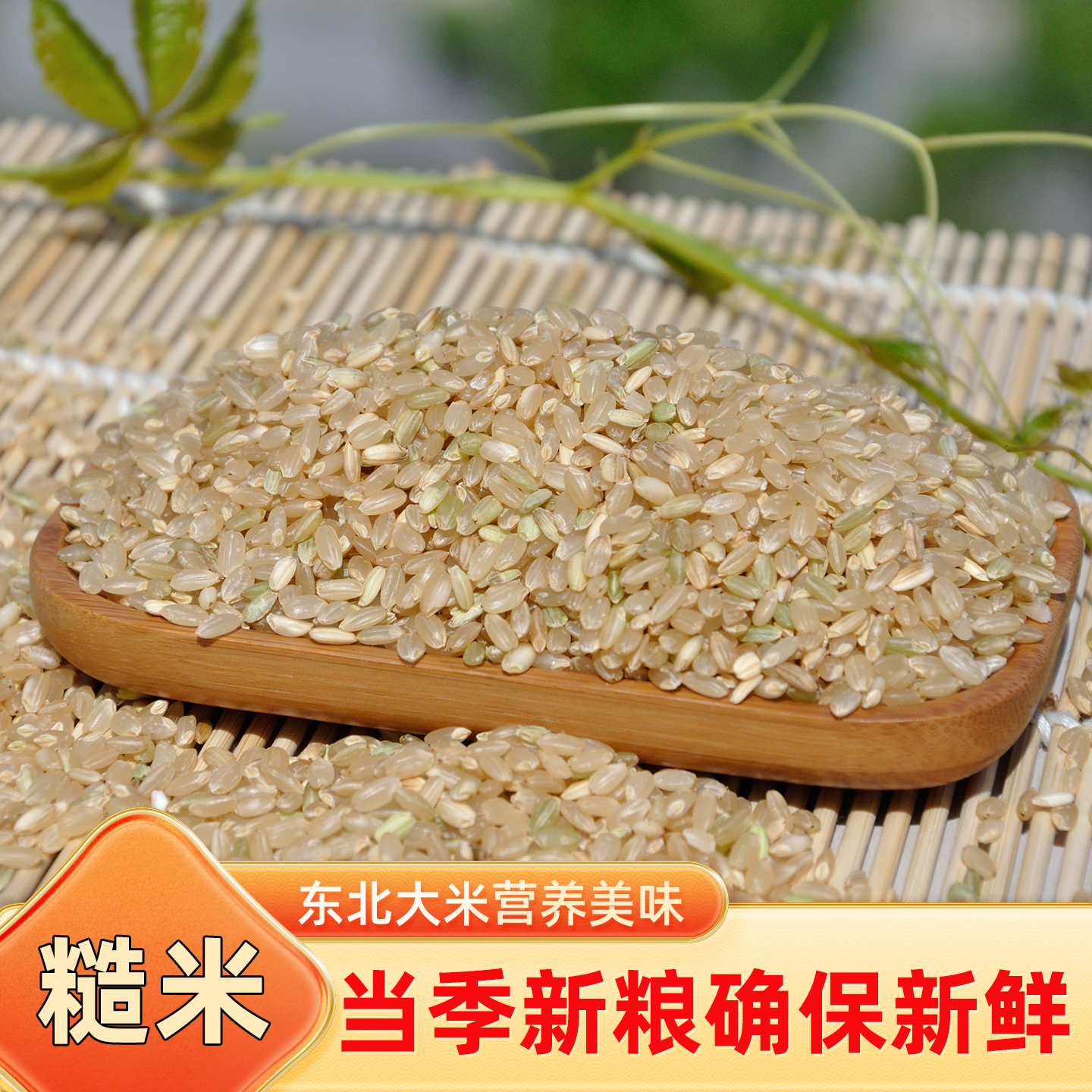 当季新货五谷杂粮糙米新米东北大米营养糙米煮粥米1斤1袋5斤包邮