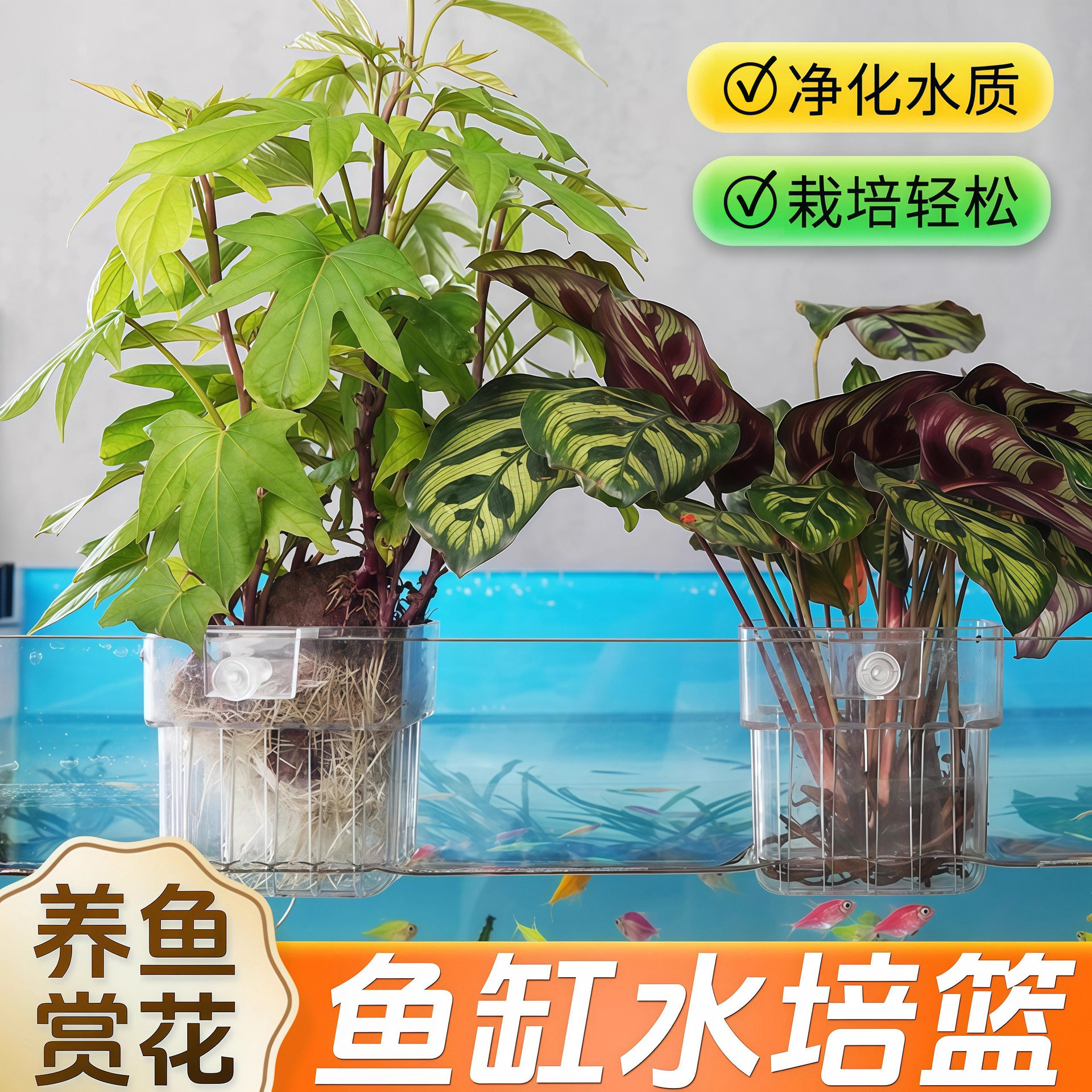 鱼缸水培植物固定架定植篮壁挂式家用水草种植杯鱼缸造景装饰花盆