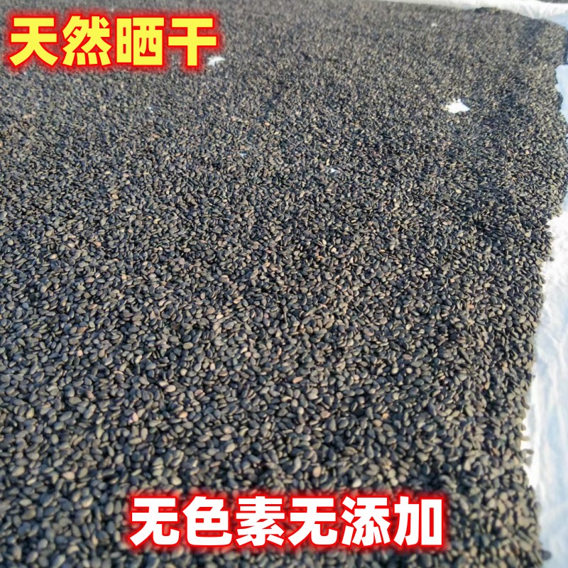 农家自种自留老品种小颗粒黑芝麻应季干货无色素无添加原生态可种