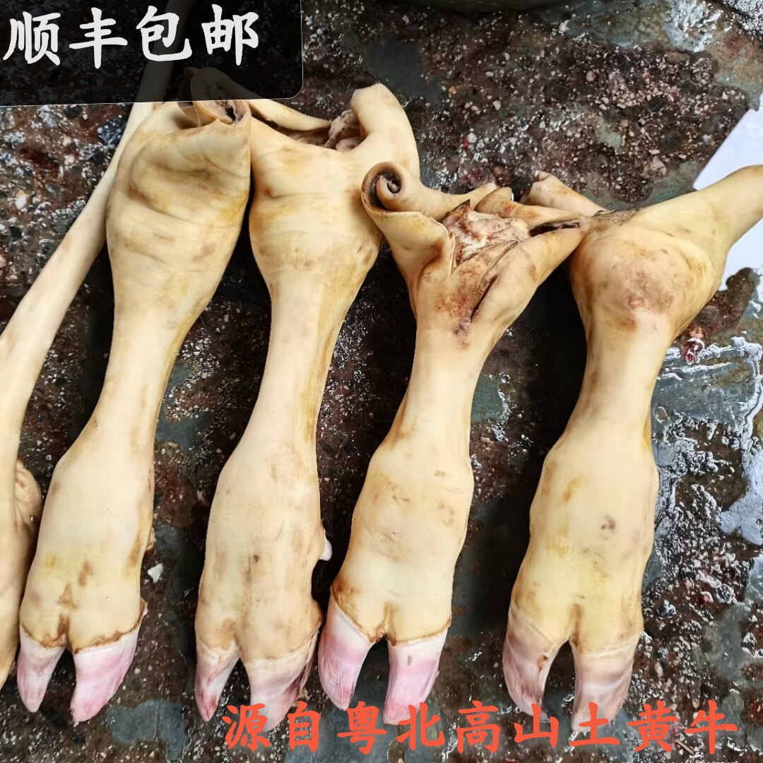 顺丰包邮新鲜土黄牛脚现杀现发10斤粤北农家高山放养跑山吃草牛