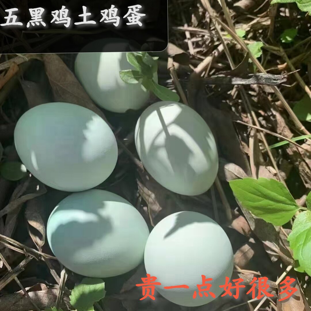 粤北高山新鲜土鸡蛋五黑鸡蛋30个60个农家放养跑山鸡五谷杂粮土蛋