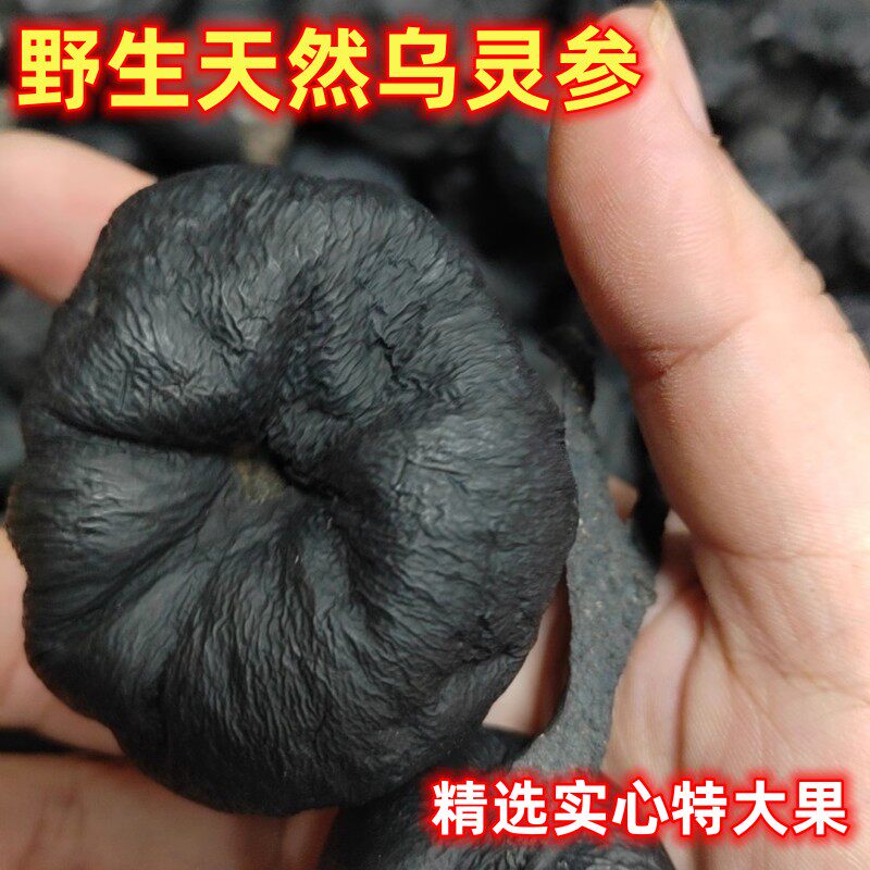 韶关纯野生乌灵参晒干高山挖的500克煲汤泡茶泡酒精选特大果实心