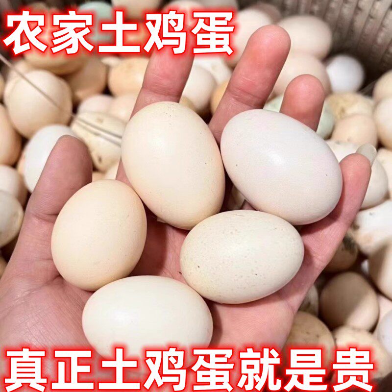 顺丰包邮粤北农家新鲜土鸡蛋高山放养五谷杂粮虫草现捡3o枚60枚