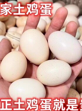 顺丰包邮粤北农家新鲜土鸡蛋高山放养五谷杂粮虫草现捡3o枚60枚