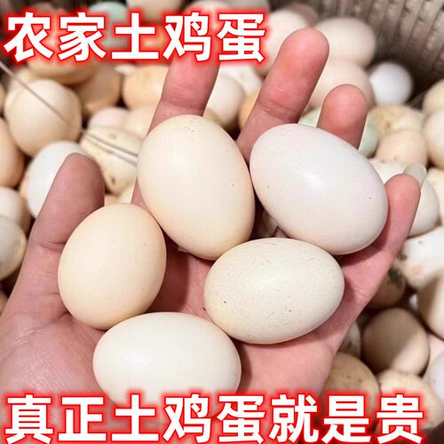 农家新鲜土鸡蛋高山放养五谷杂粮