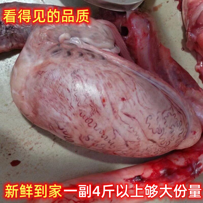 顺丰包邮新鲜现杀土黄牛农家高山放养牛鞭3斤以上一整副够大份量