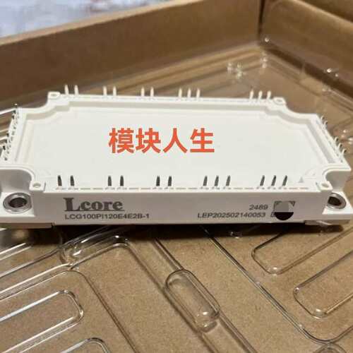 议价LCG100PI120E4E2B-1