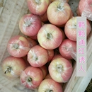 山西临猗坡上新鲜现摘时令水果脆甜多汁 精品冰糖心红富士丑苹果