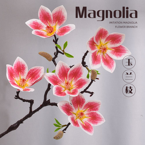 高档中式玉兰花仿真花摆件干花花束餐桌桌面假花塑料插花摆设装饰
