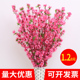 仿真桃花枝假腊梅花树枝樱花塑料花假花落地插花工程造景树干装 饰