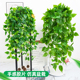 仿真绿萝客厅绿植装 饰垂吊塑料假花藤条室内植物绿叶藤蔓吊兰盆栽