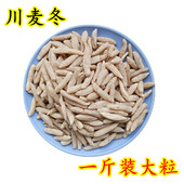 麦冬中药材精选川麦冬500g大个正宗无硫麦冬麦门冬沿阶草